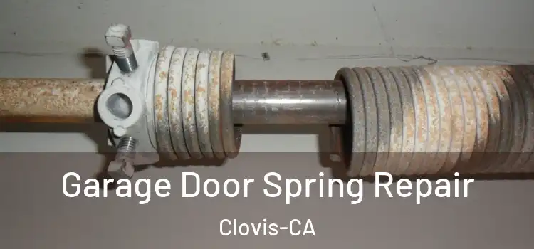  Garage Door Spring Repair Clovis-CA
