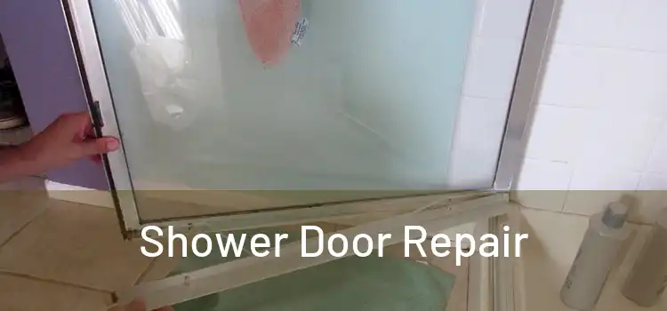  Shower Door Repair 
